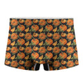 Vintage Pumpkin Pattern Print Men's Boxer Briefs