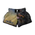 Vintage Rottweiler Portrait Print Muay Thai Boxing Shorts