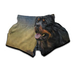 Vintage Rottweiler Portrait Print Muay Thai Boxing Shorts