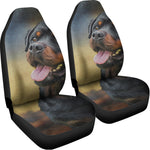 Vintage Rottweiler Portrait Print Universal Fit Car Seat Covers