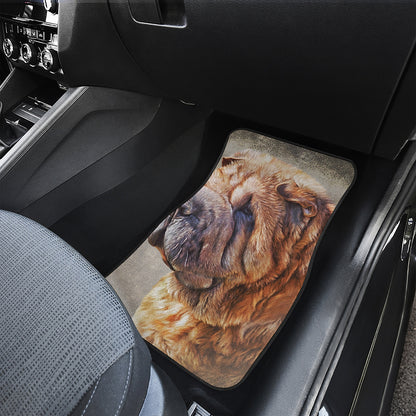 Vintage Shar Pei Print Front and Back Car Floor Mats