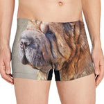 Vintage Shar Pei Print Men's Boxer Briefs