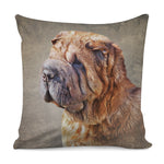 Vintage Shar Pei Print Pillow Cover