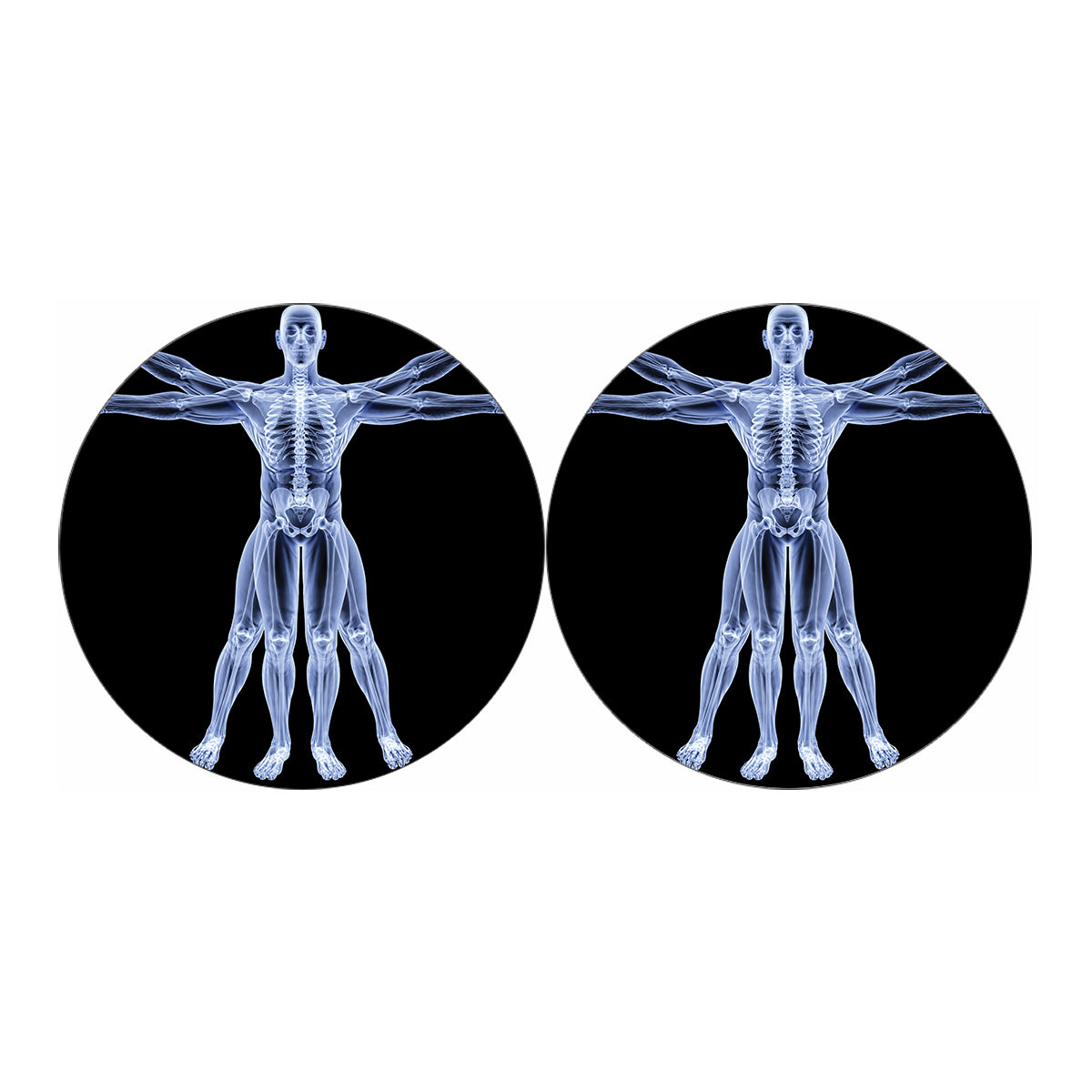 Vitruvian Man X-Ray Print Car Coasters