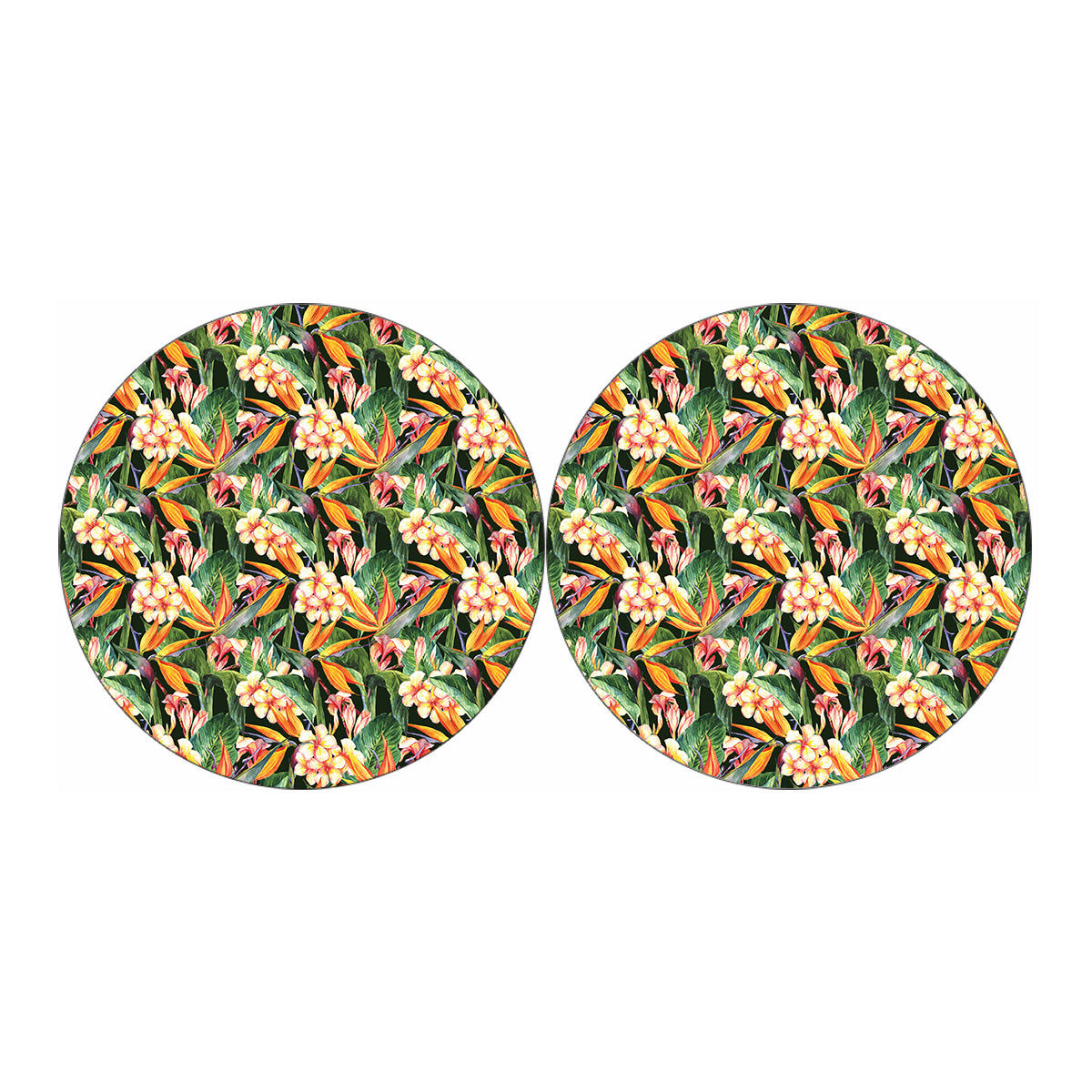 Watercolor Bird Of Paradise Print Car Coasters