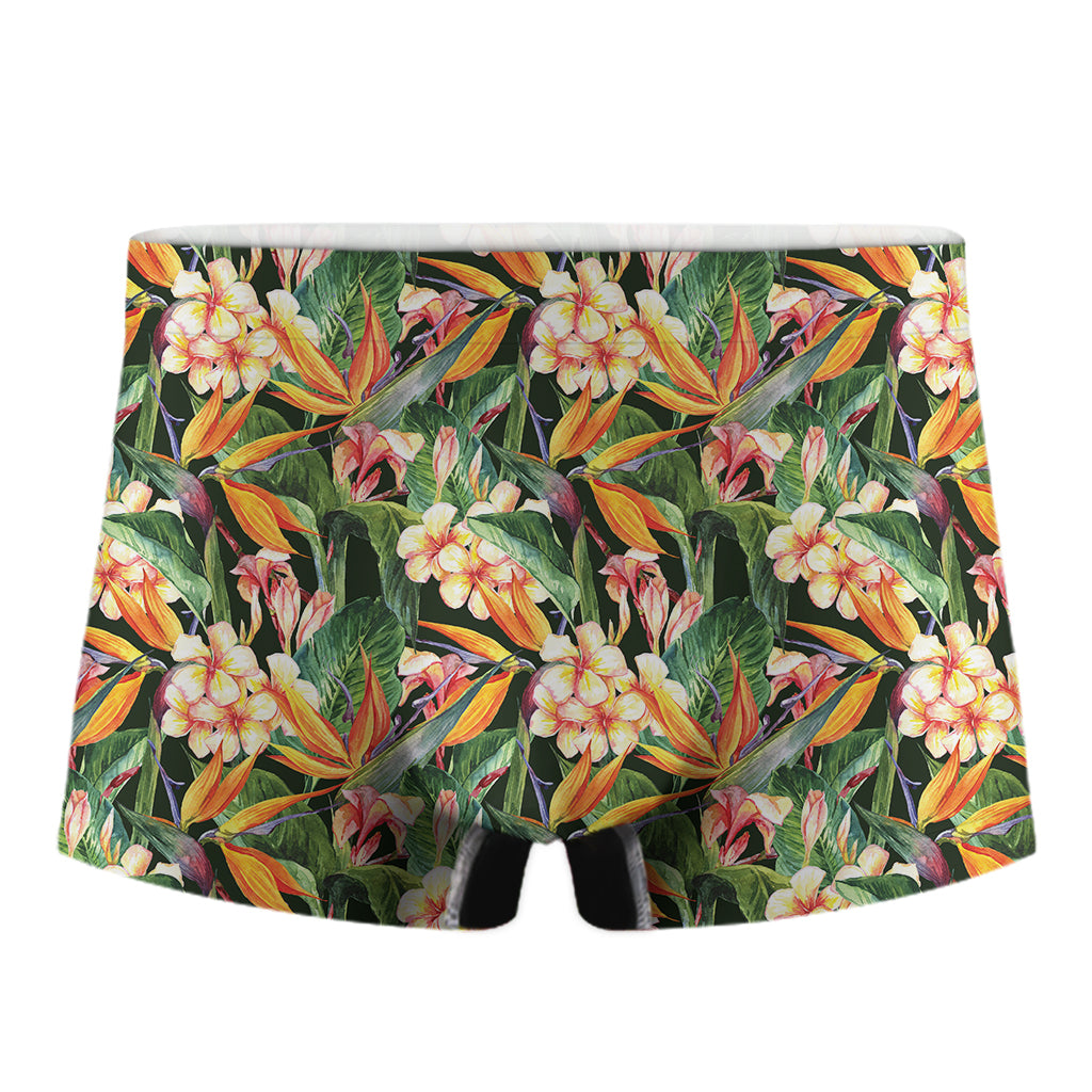 Watercolor Bird Of Paradise Print Men's Boxer Briefs