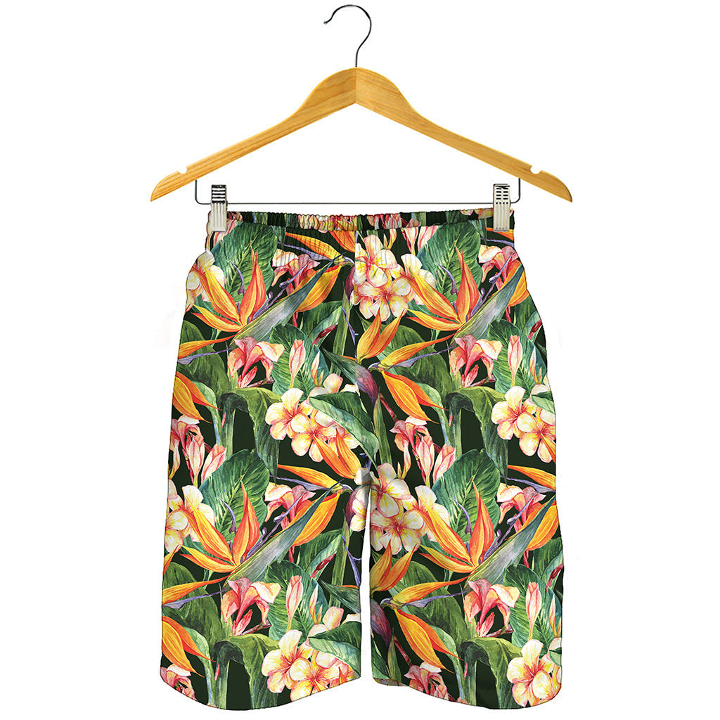 Watercolor Bird Of Paradise Print Men's Shorts