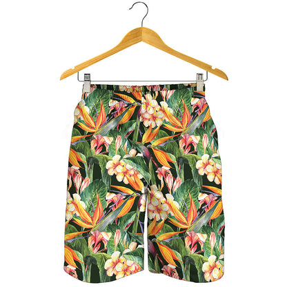 Watercolor Bird Of Paradise Print Men's Shorts