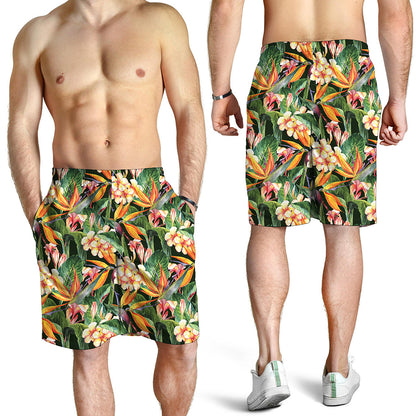 Watercolor Bird Of Paradise Print Men's Shorts