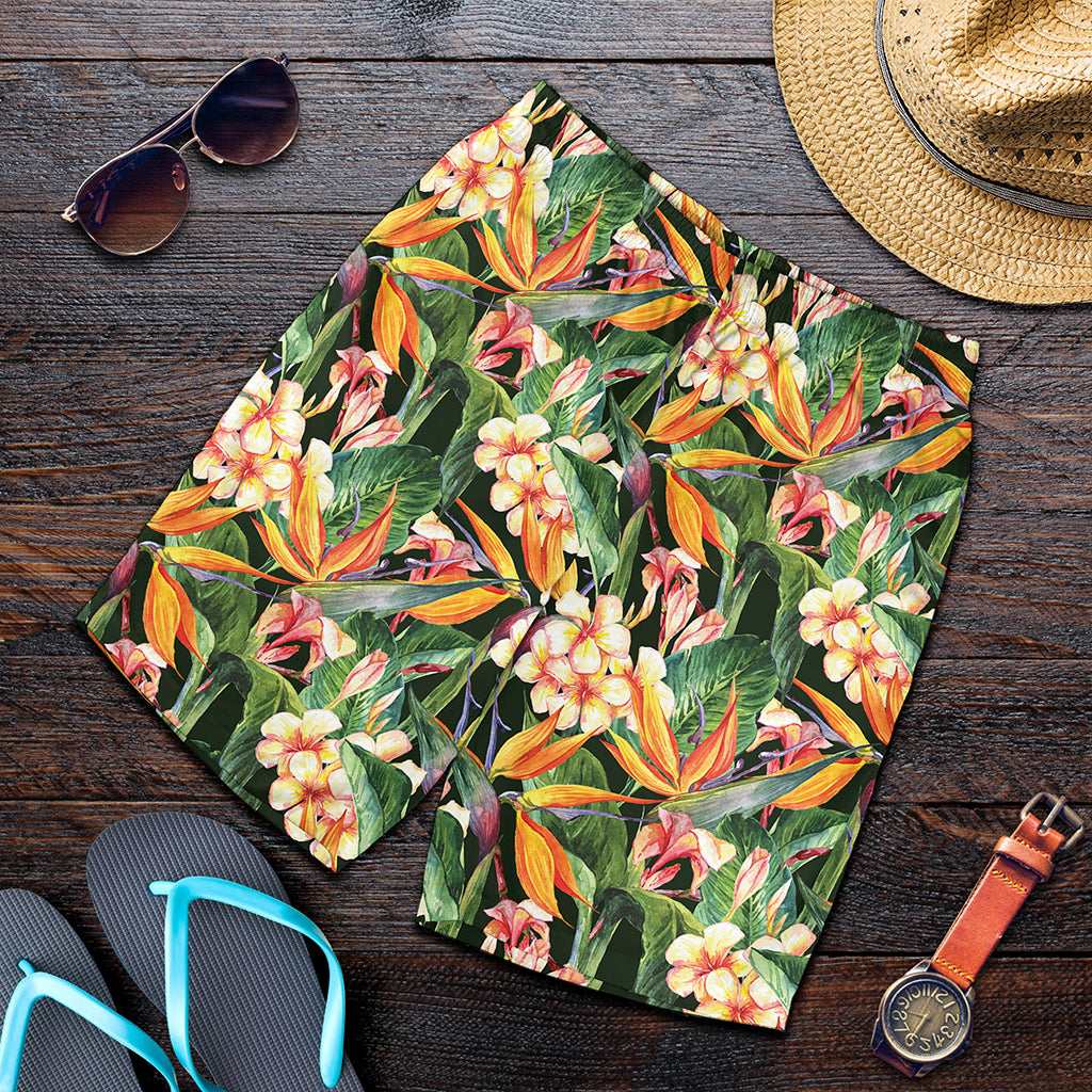 Watercolor Bird Of Paradise Print Men's Shorts