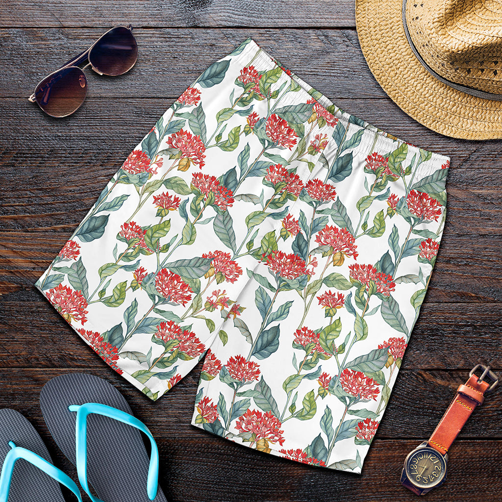Watercolor Bouvardia Print Men's Shorts