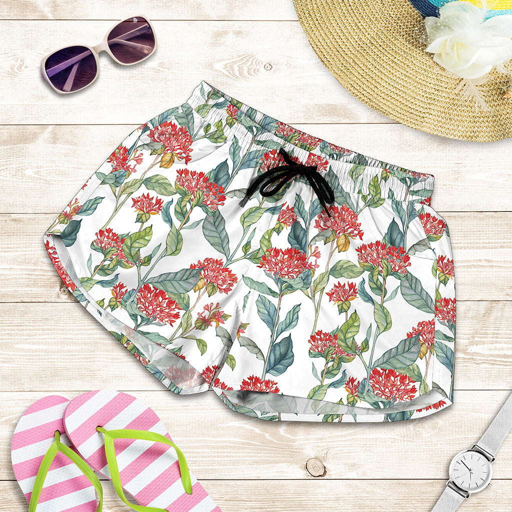 Watercolor Bouvardia Print Women's Shorts
