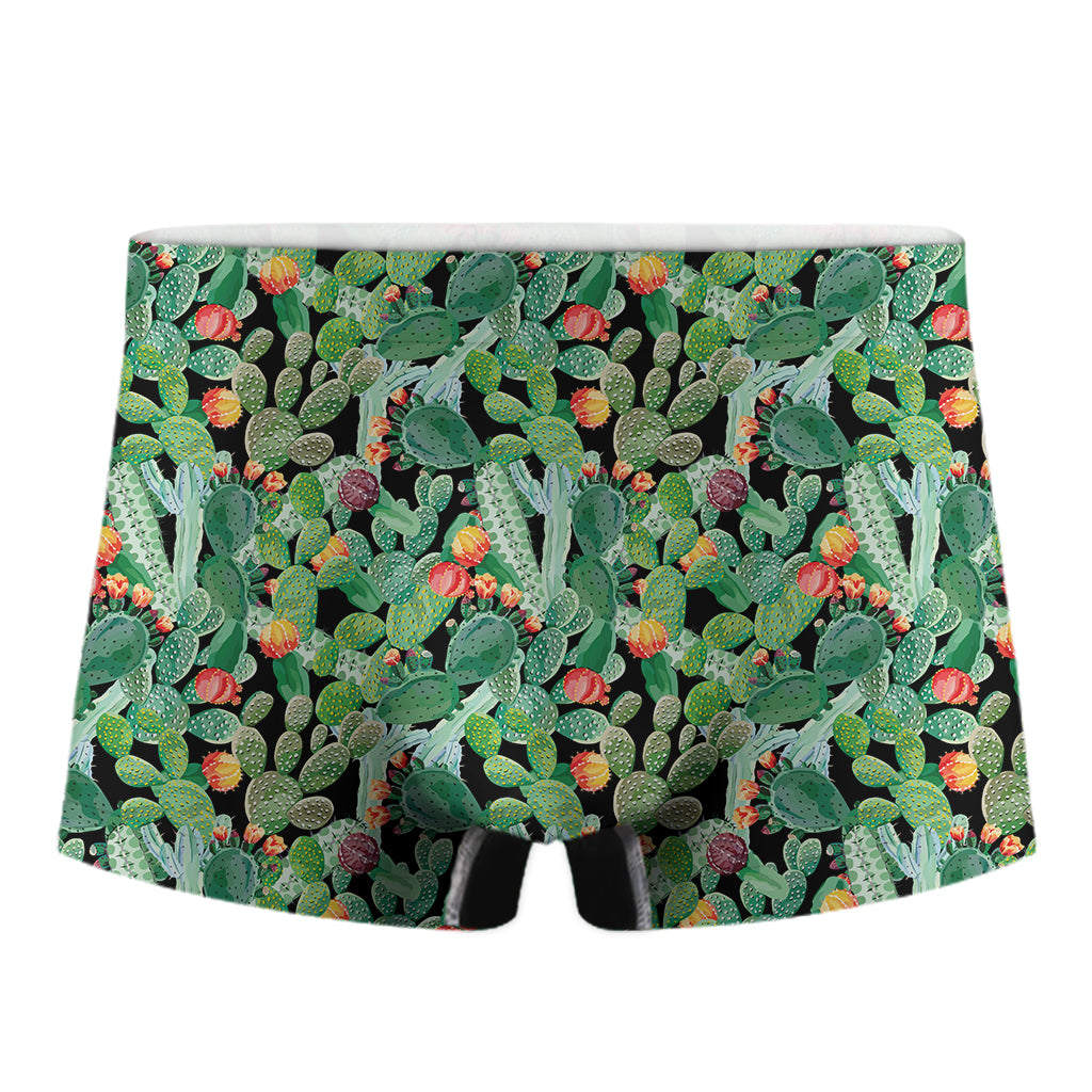 Watercolor Cactus Plant Print Men's Boxer Briefs