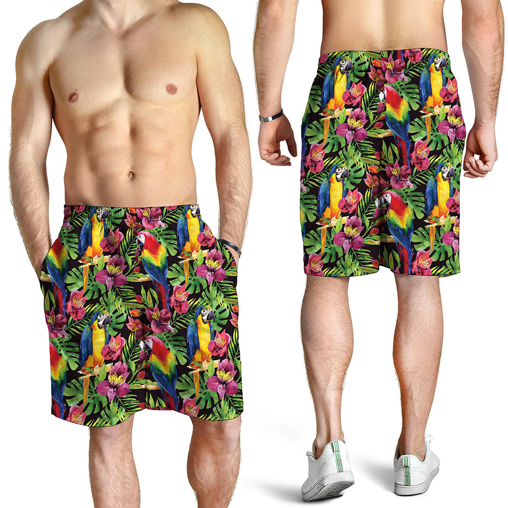 Watercolor Parrot Pattern Print Men's Shorts