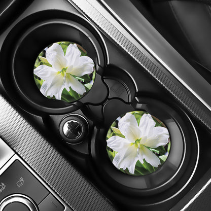 White Amaryllis Print Car Coasters
