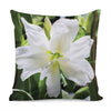 White Amaryllis Print Pillow Cover