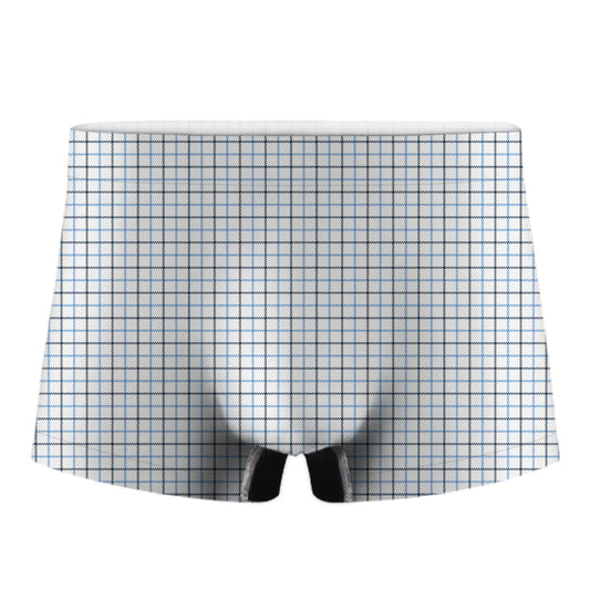 White And Blue Tattersall Pattern Print Men's Boxer Briefs