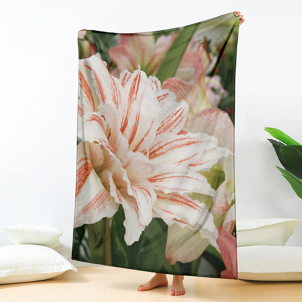 White And Pink Amaryllis Print Blanket