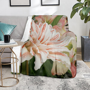 White And Pink Amaryllis Print Blanket