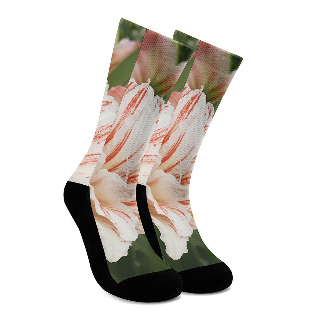 White And Pink Amaryllis Print Crew Socks