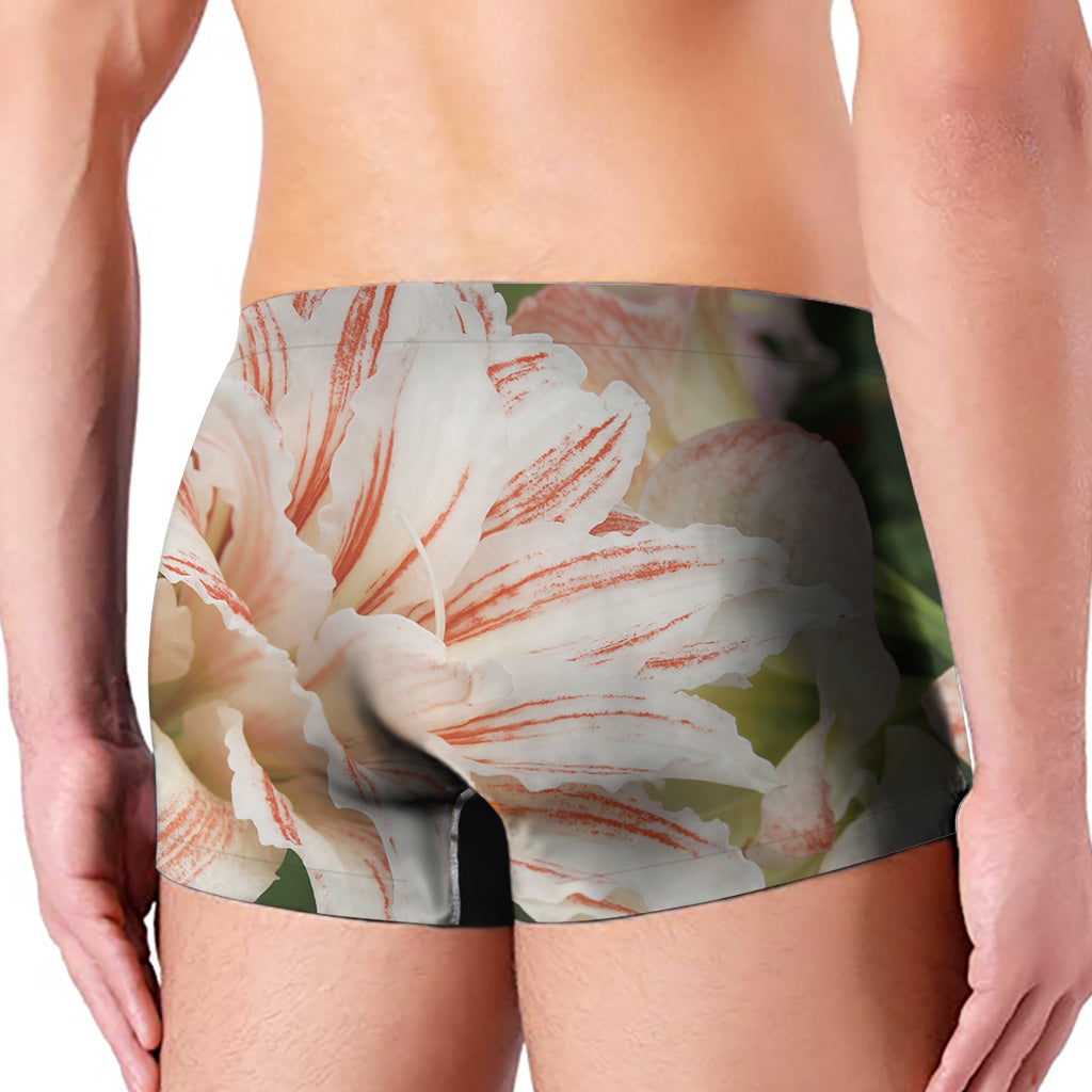 White And Pink Amaryllis Print Men's Boxer Briefs