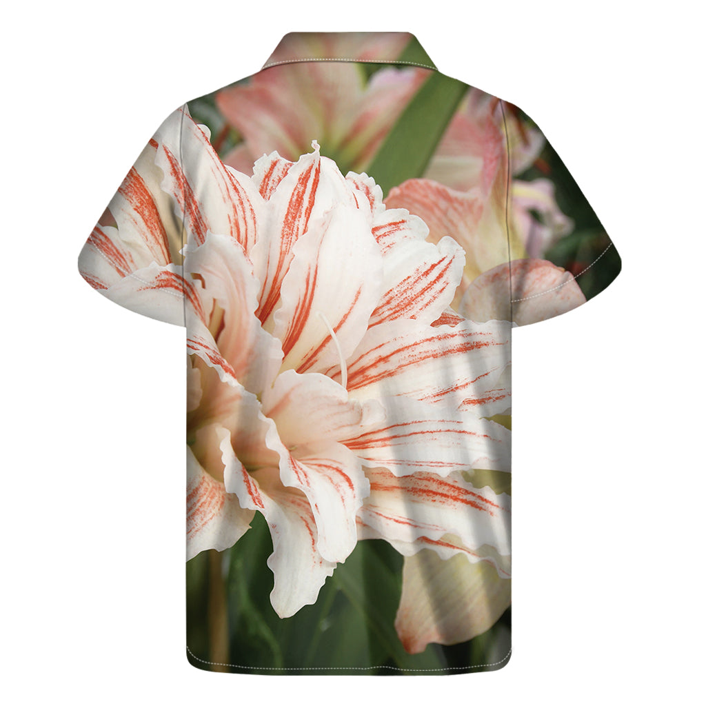 White And Pink Amaryllis Print Men's Short Sleeve Shirt