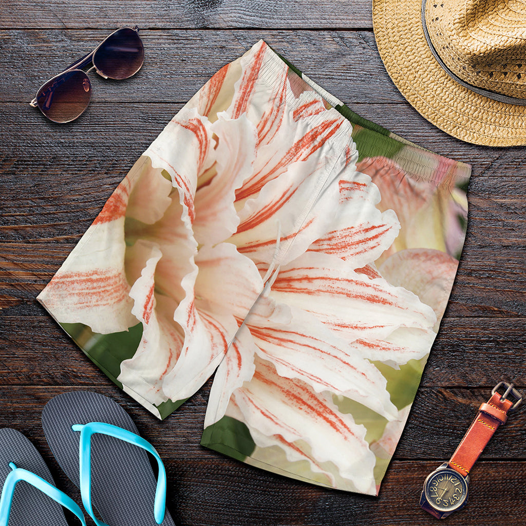 White And Pink Amaryllis Print Men's Shorts