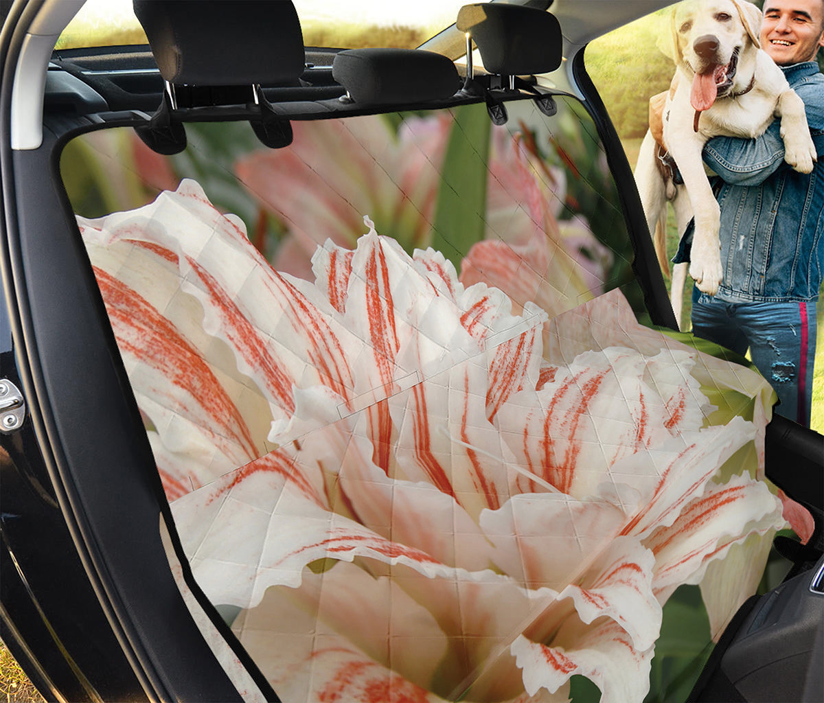 White And Pink Amaryllis Print Pet Car Back Seat Cover