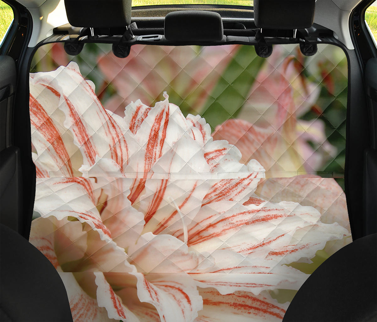 White And Pink Amaryllis Print Pet Car Back Seat Cover