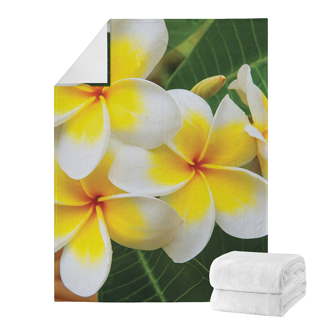 White And Yellow Plumeria Flower Print Blanket