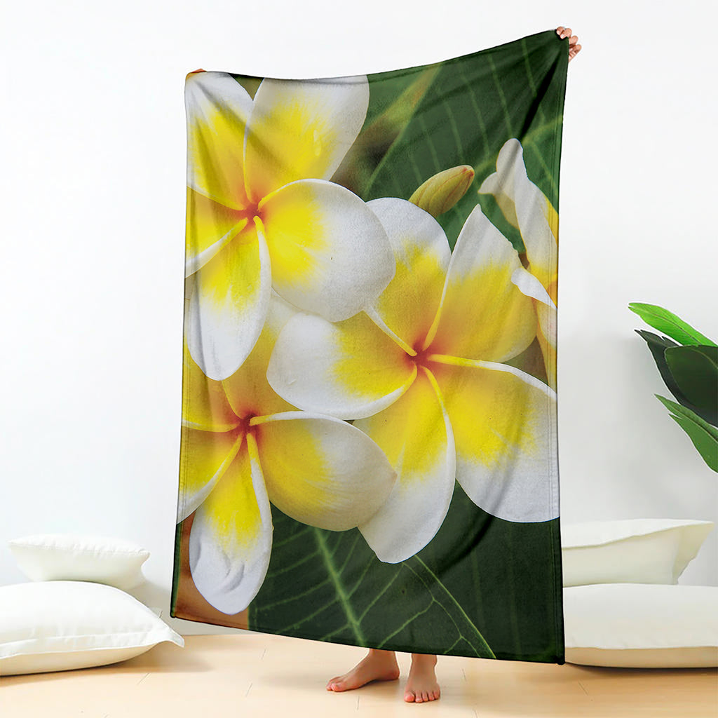 White And Yellow Plumeria Flower Print Blanket