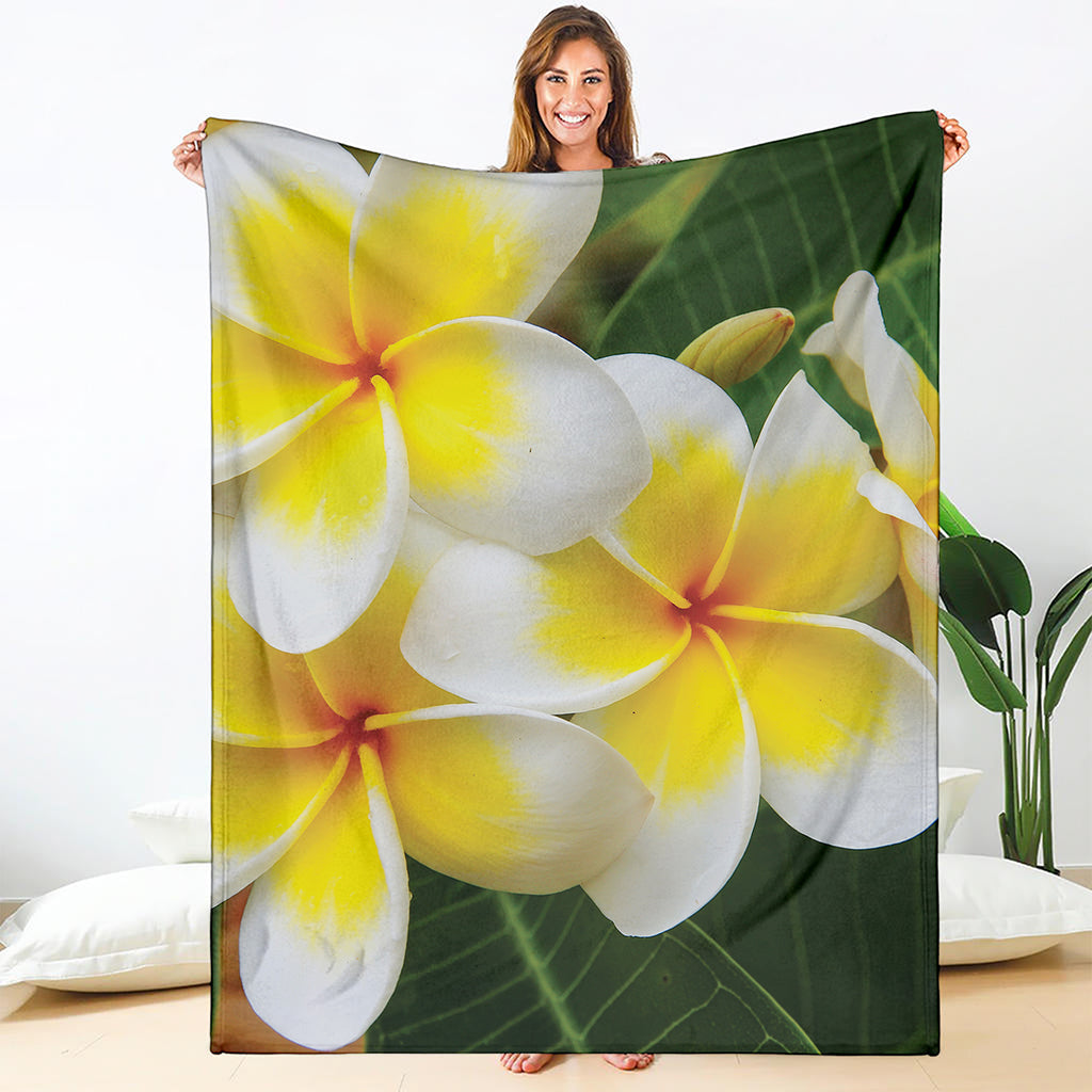 White And Yellow Plumeria Flower Print Blanket