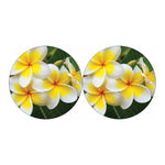 White And Yellow Plumeria Flower Print Car Coasters