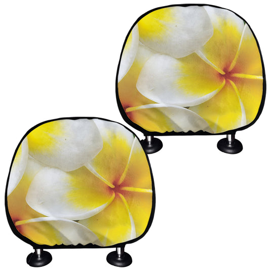 White And Yellow Plumeria Flower Print Car Headrest Covers
