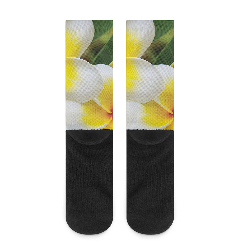 White And Yellow Plumeria Flower Print Crew Socks