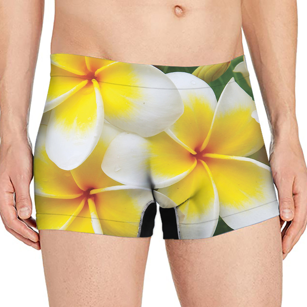 White And Yellow Plumeria Flower Print Men's Boxer Briefs