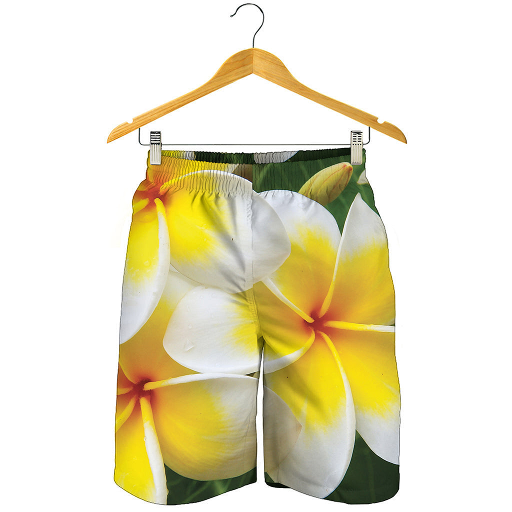 White And Yellow Plumeria Flower Print Men's Shorts