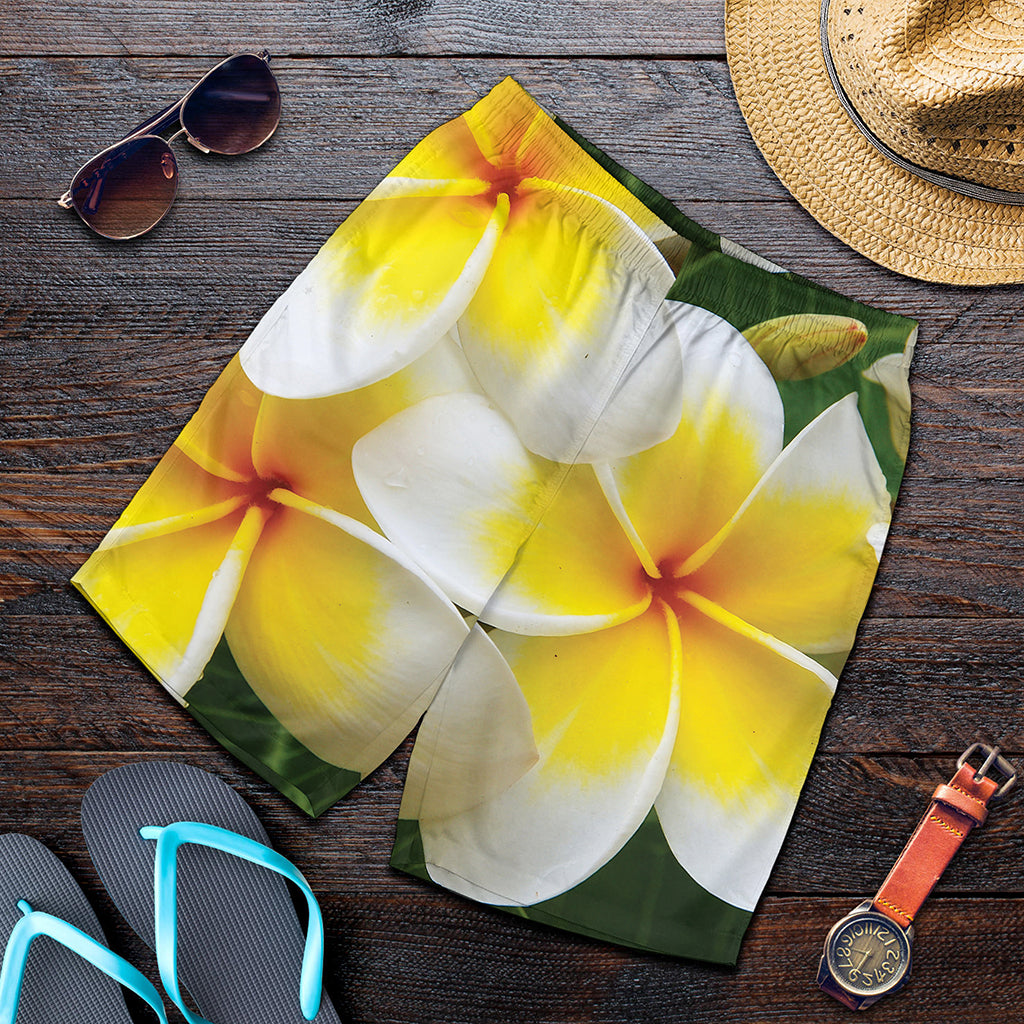 White And Yellow Plumeria Flower Print Men's Shorts