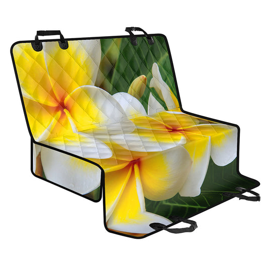 White And Yellow Plumeria Flower Print Pet Car Back Seat Cover