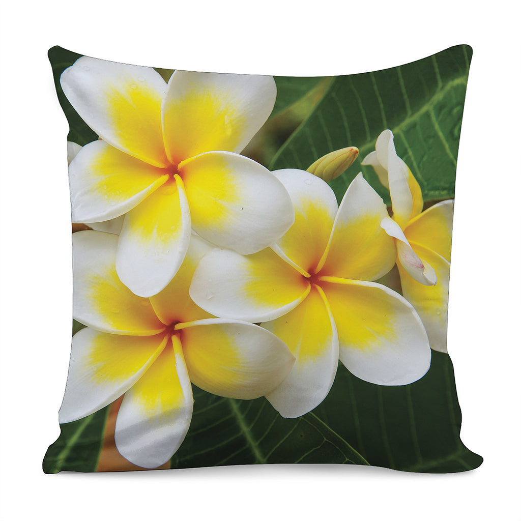 White And Yellow Plumeria Flower Print Pillow Cover