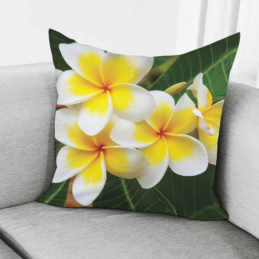 White And Yellow Plumeria Flower Print Pillow Cover