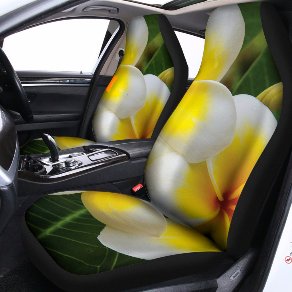 White And Yellow Plumeria Flower Print Universal Fit Car Seat Covers