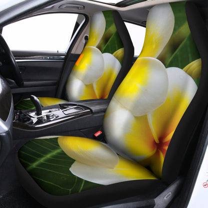 White And Yellow Plumeria Flower Print Universal Fit Car Seat Covers
