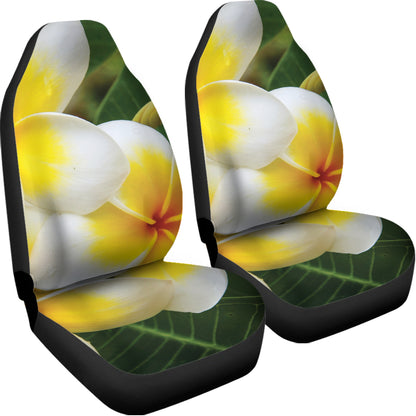 White And Yellow Plumeria Flower Print Universal Fit Car Seat Covers