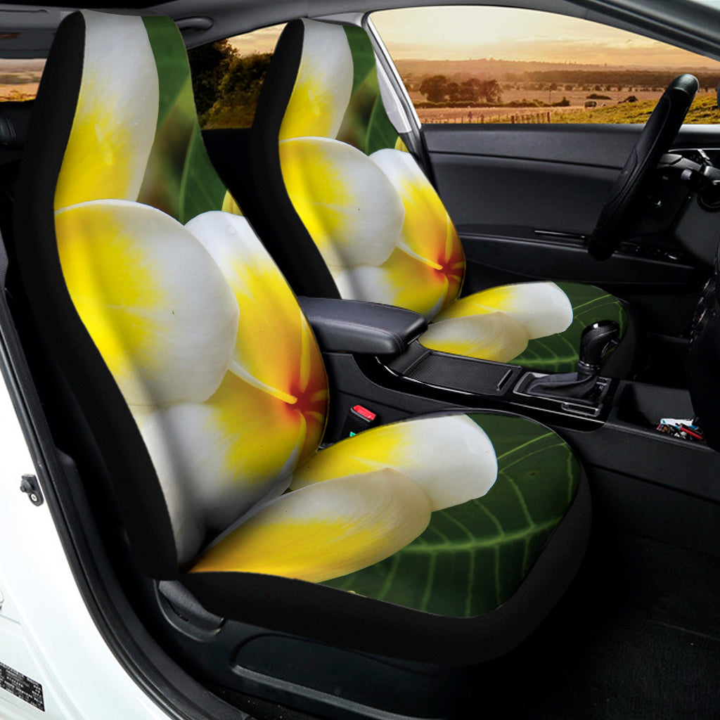 White And Yellow Plumeria Flower Print Universal Fit Car Seat Covers