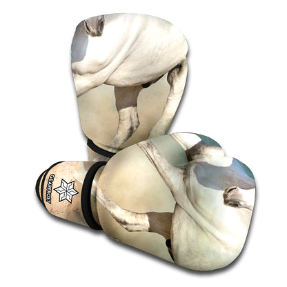 White Stallion Horse Print Boxing Gloves