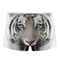 White Tiger Portrait Print Men's Boxer Briefs