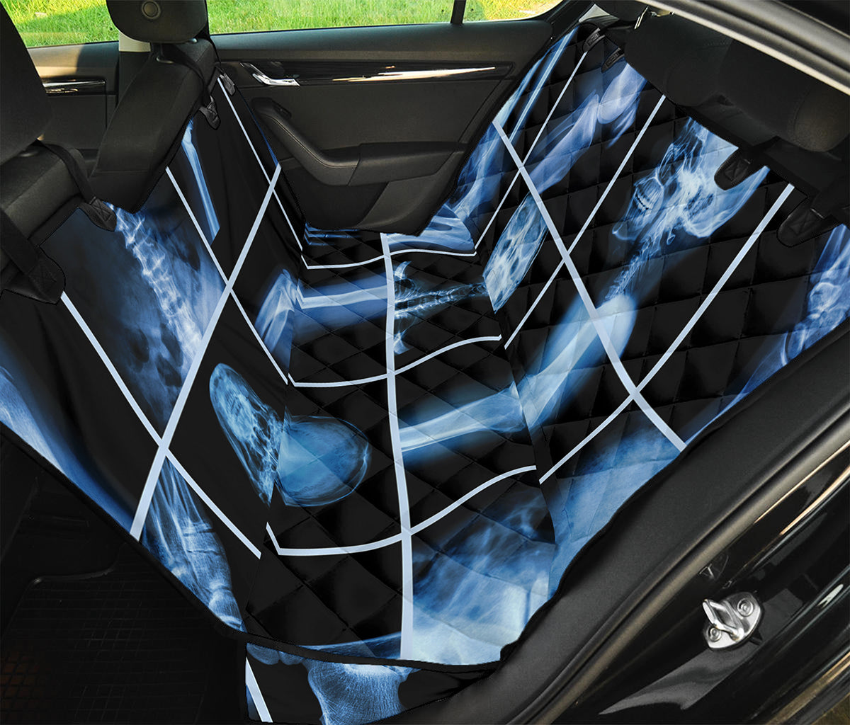 X-Ray Film Radiology Print Pet Car Back Seat Cover
