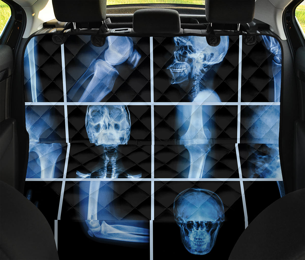 X-Ray Film Radiology Print Pet Car Back Seat Cover
