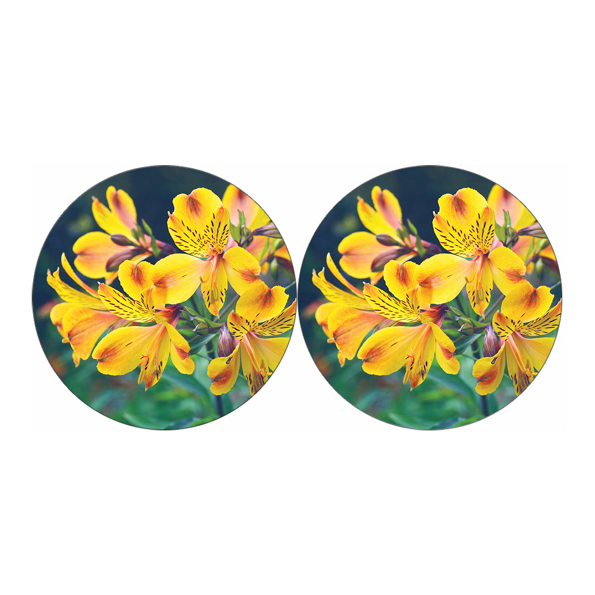 Yellow Alstroemeria Print Car Coasters
